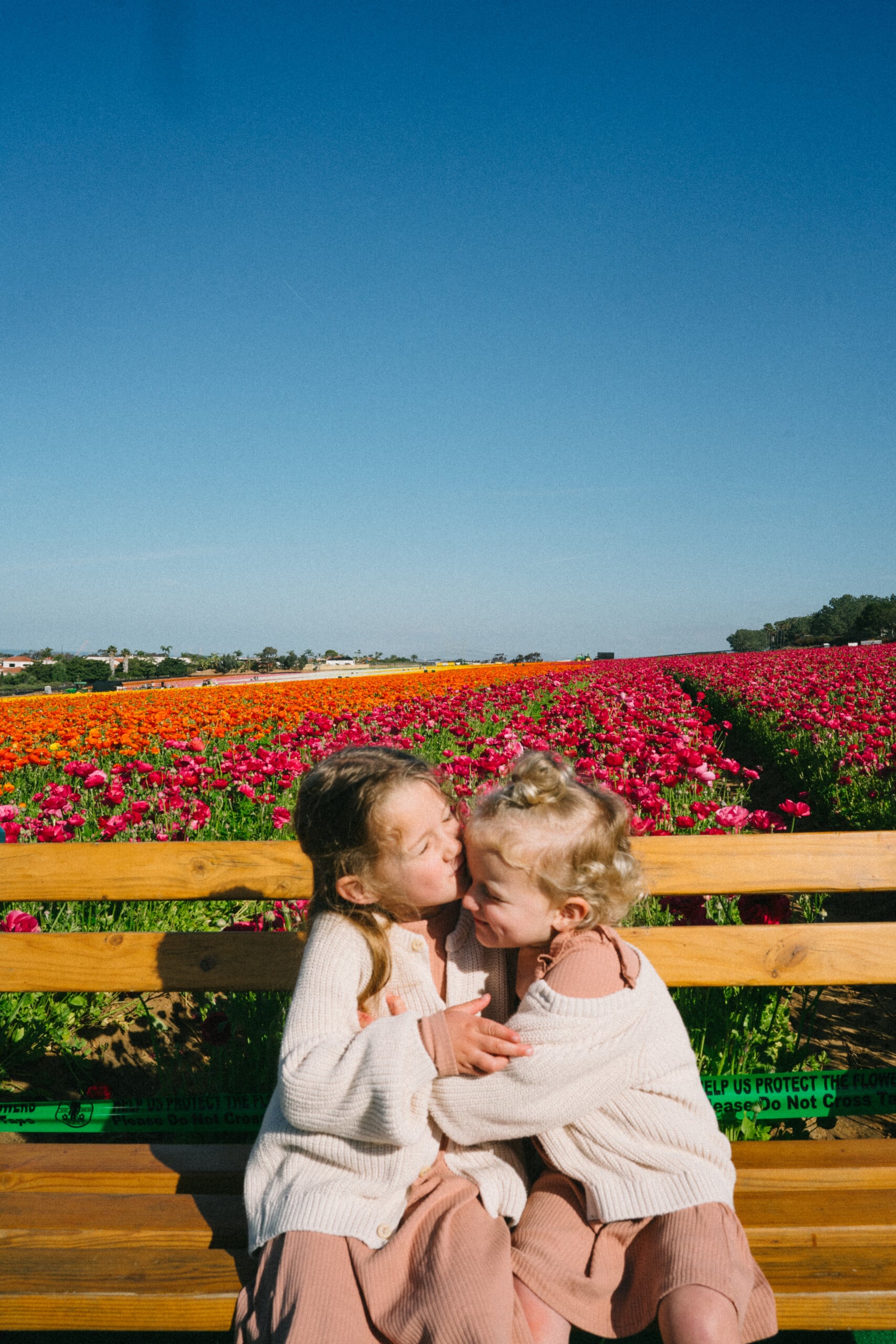 things to do in San Diego in the Spring